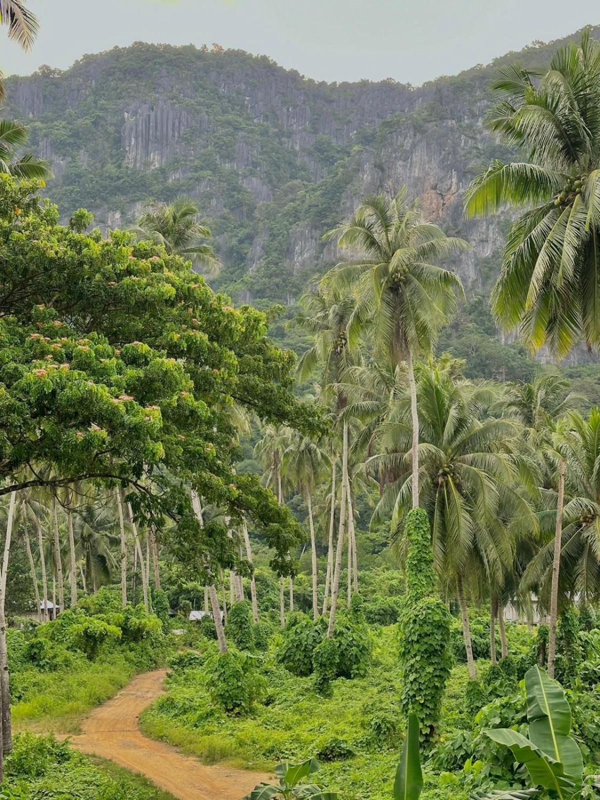 Casa Juliana El Nido Hotel Eksteriør billede